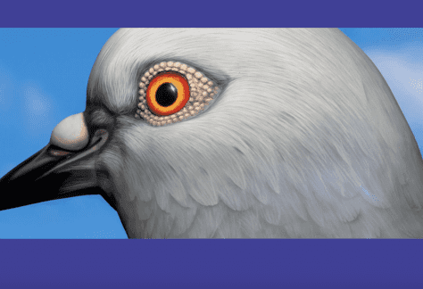 Farewell, Dinosaur on the High Line